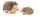 Igel