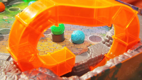 Kakerlaloop