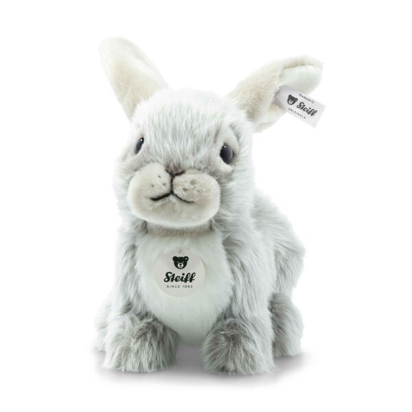 Hase grau