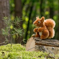 Eichhörnchen 14cm