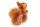 Eichhörnchen 14cm