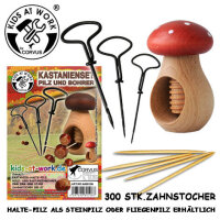 Kastanienset Pilz und Bohrer