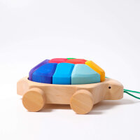 Regenbogen Schildkröte
