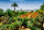 Botanical Garden, Madeira Puzzle (1000 pcs)