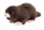 Maulwurf 17 cm