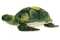Wasserschildkröte