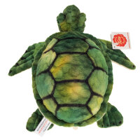 Wasserschildkröte