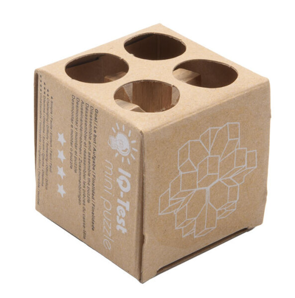 IQ Test Mini Puzzle