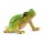 Laubfrosch