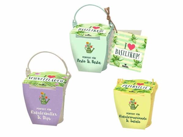 Kräuter Anzuchssets