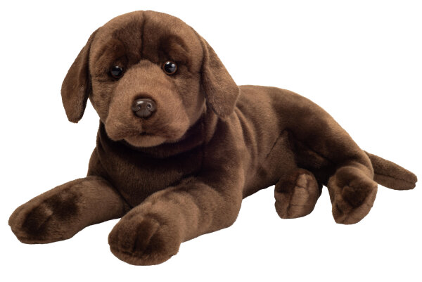 Labrador schokobraun