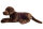 Labrador schokobraun