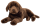 Labrador schokobraun