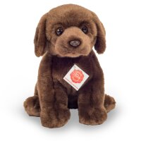 Labrador sitzend dunkelbraun