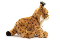 Luchs