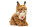 Luchs