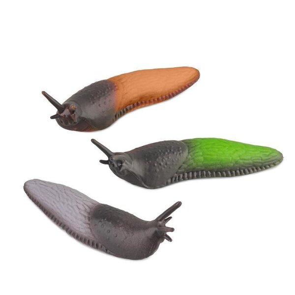 Nacktschnecke