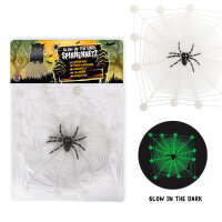 Spinnennetz mit Spinne, nachtleuchtend