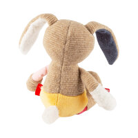 Hase