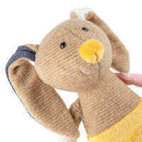 Hase