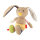 Hase
