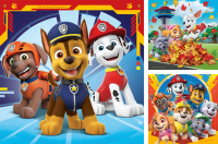 Puzzle 3x49