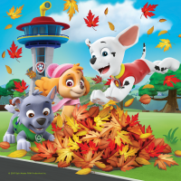 Puzzle 3x49