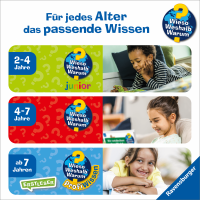 WWW Der Kran
