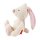 Hase