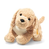 Berno Goldendoodle 36 cm