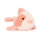 Fancy Carp