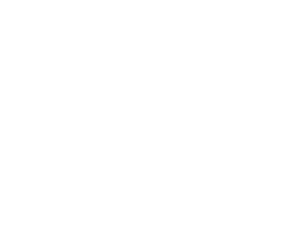 Dokumentenmappe Bee
