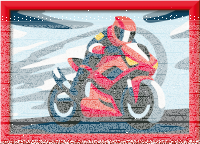 Malen nach Zahlen Motorradfahrer