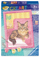 Malen nach Zahlen Maine-Coon-Kätzchen