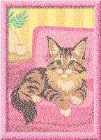 Malen nach Zahlen Maine-Coon-Kätzchen