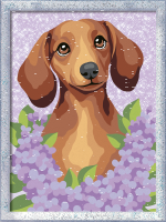 Malen nach Zahlen Dackel Lilac