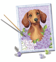Malen nach Zahlen Dackel Lilac