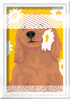 Malen nach Zahlen Cocker Spaniel Sunny