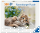 Puzzle Süßes Kätzchen (500 Teile)