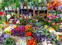Puzzle Blumenmarkt, Frankreich  (500 Teile)